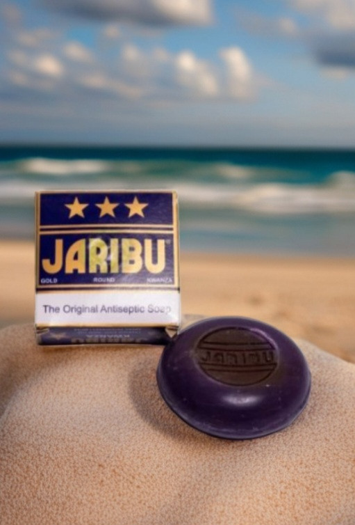 Savon jarubu